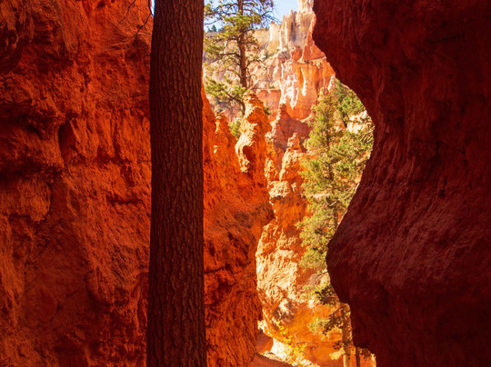 纳瓦霍小径-布莱斯峡谷国家公园必去景点