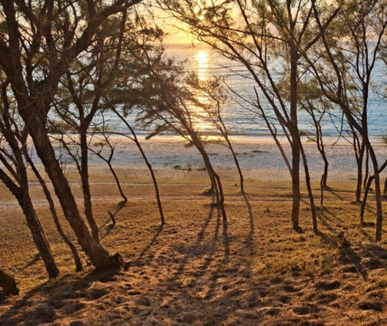 Le Macoua Guest House