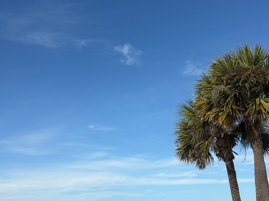 Indian Rocks Beach Access-Indian Rocks Beach必去景点
