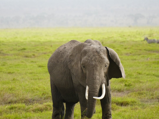 Watamu Diego Safari Day Tours-瓦塔木必去景点