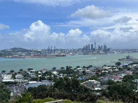 Mount Victoria Reserve-德文波特必去景点