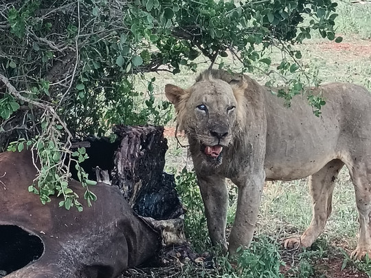 Kenya Watamu Safaris-瓦塔木必去景点