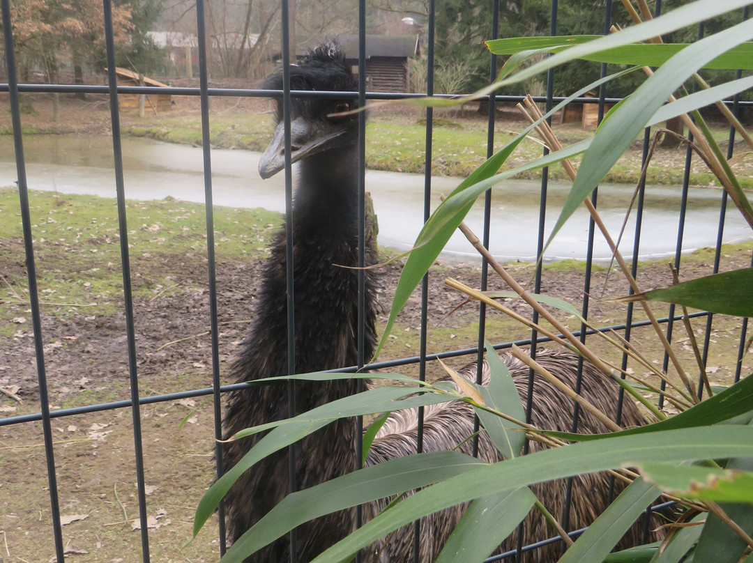 Zoo Ljubljana-卢布尔雅那必去景点