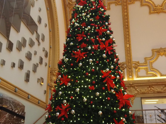 Shopping Stadsfeestzaal-安特卫普必去景点