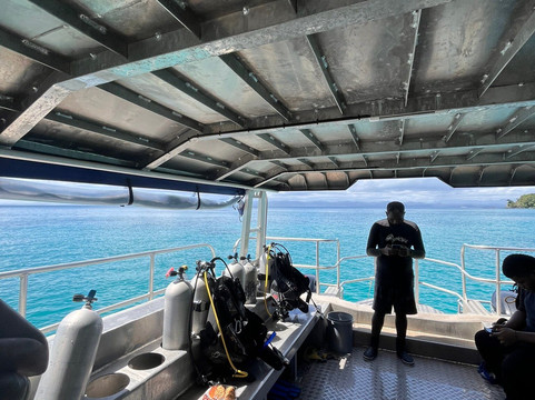 Coral Coast Divers-太平洋港必去景点