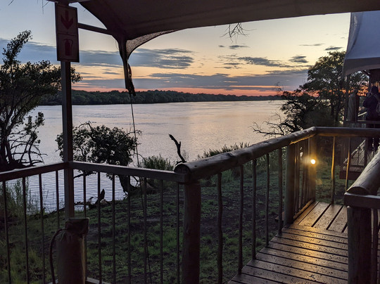 Jackalberry Chobe主图