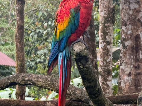 Yana Cocha-Puyo必去景点