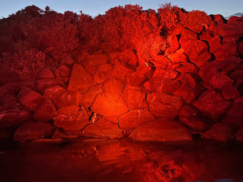 St Kilda Ferry-圣基尔达必去景点