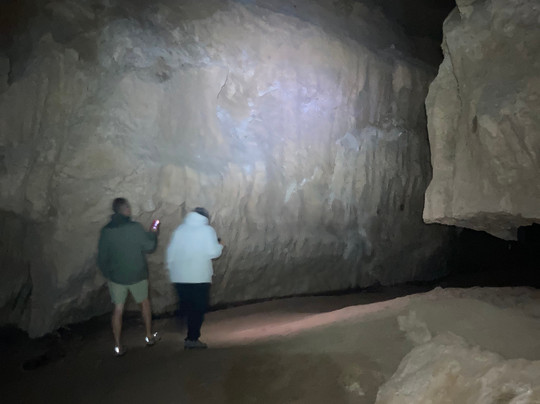 ZigZag Tours NZ-新普利默斯必去景点