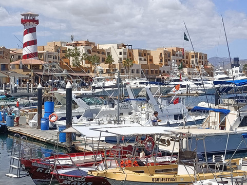 Marina Cabo San Lucas-卡波圣卢卡斯必去景点
