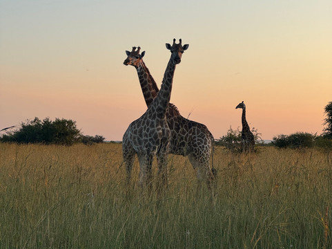 Loisico Tours and Excursions-Bloubergstrand必去景点
