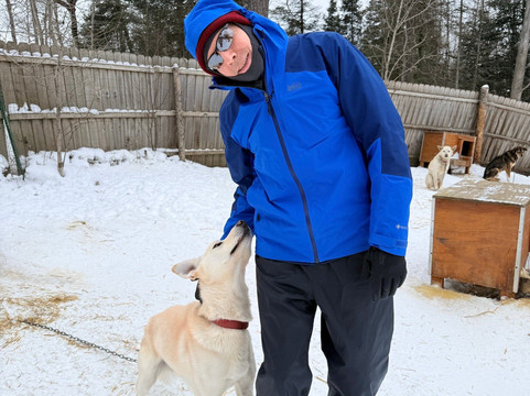 Chilly Dogs Sled Dog Trips-伊利必去景点