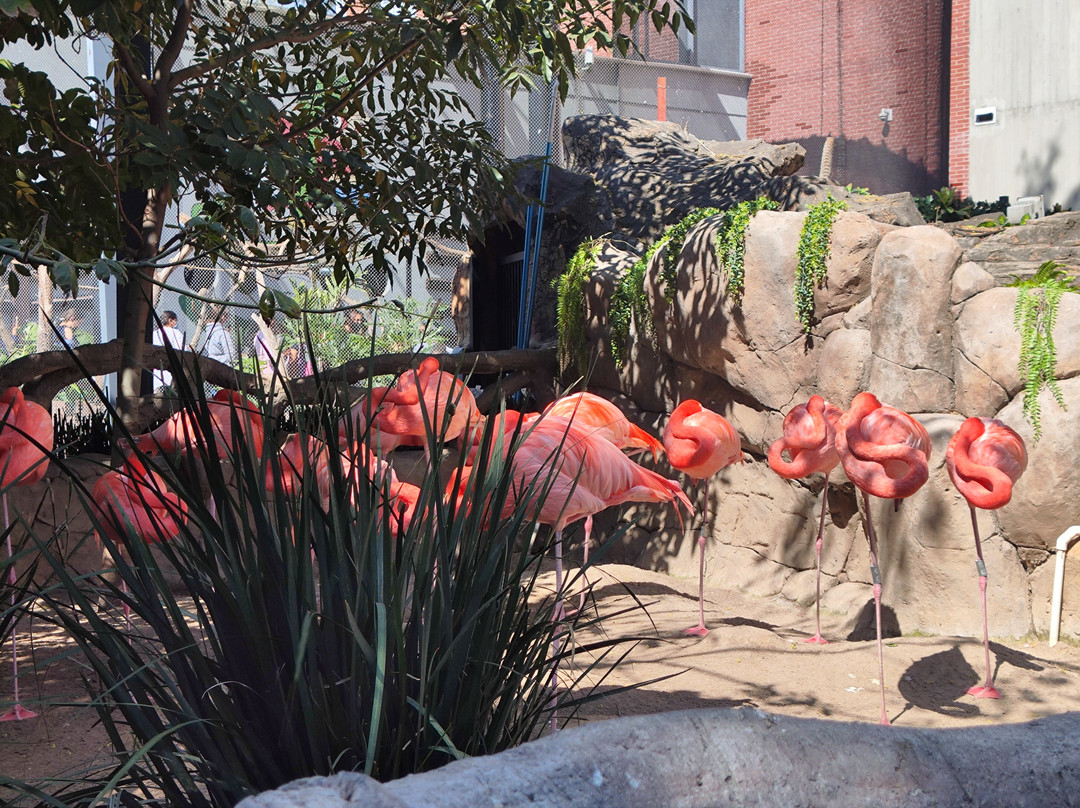 Acuario Michin Guadalajara-瓜达拉哈拉必去景点