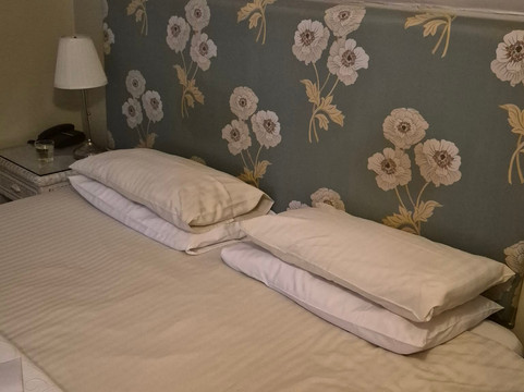 巴克卢阿姆斯宾馆主图