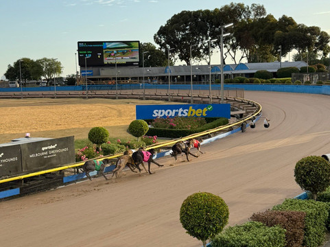 Melbourne Greyhounds - The Meadows-Broadmeadows必去景点