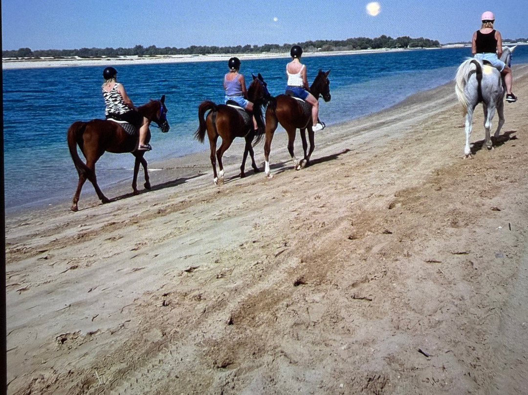 Sanam Stable-阿布扎比必去景点