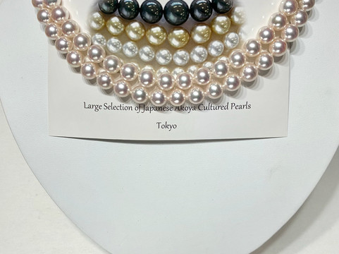 Canilli Pearl-Meguro必去景点