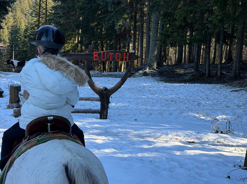 Horse Riding With Butch-波罗维兹必去景点