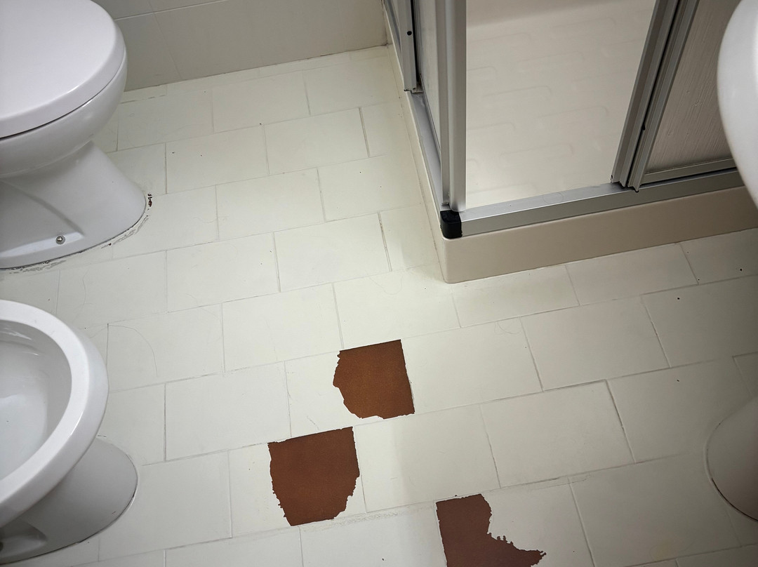 Bepy Hotel Garni主图