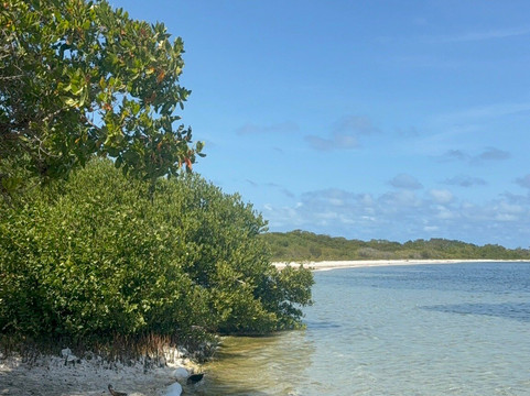Vulcanos Tours-奇奇里维切必去景点