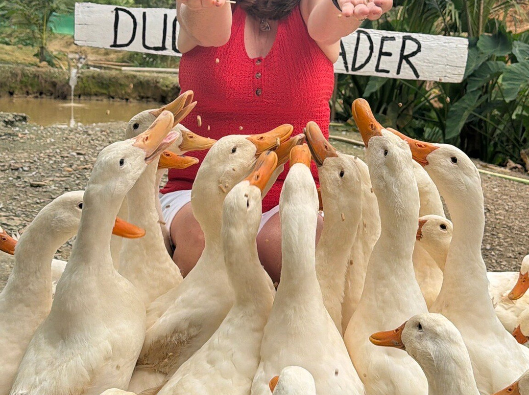 Phong Nha Explorer-洞海必去景点