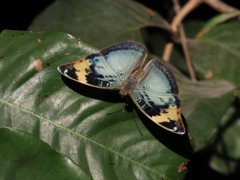 Youba Tour-索蒙必去景点