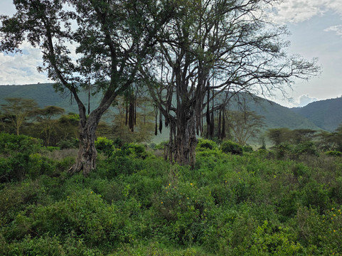 Ngurdoto Crater-阿鲁沙必去景点