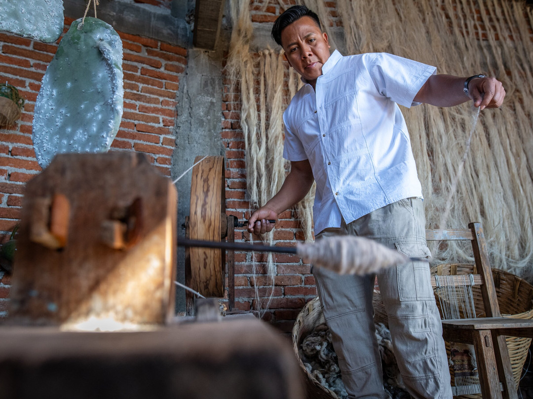 Oaxaca Experience Tours-瓦哈卡必去景点