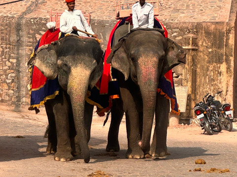 Mahendra Travel-斋蒲尔必去景点