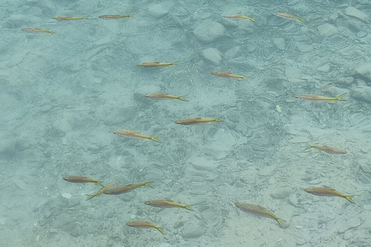 Blue Lagoon 3-旺阳必去景点