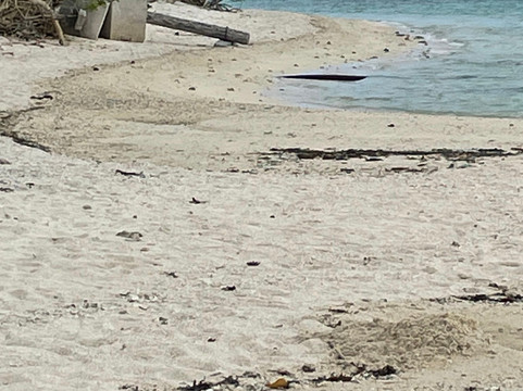 竹富岛Kondoi海滩-Taketomi-cho必去景点