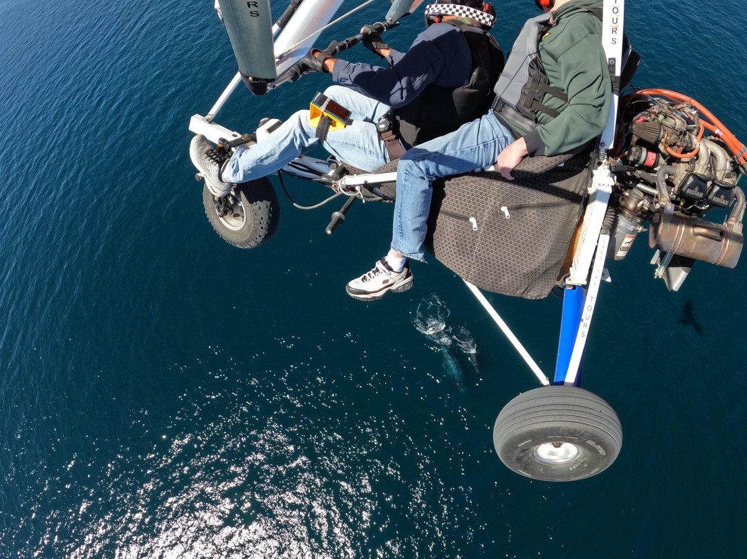 Cabo Sky Tours-卡波圣卢卡斯必去景点