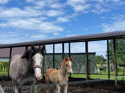 Darzini-Kekava必去景点