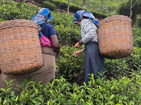 总督府酒店主图