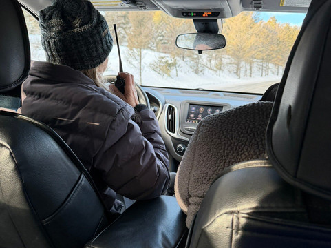 Lamar Valley Touring-加德纳必去景点