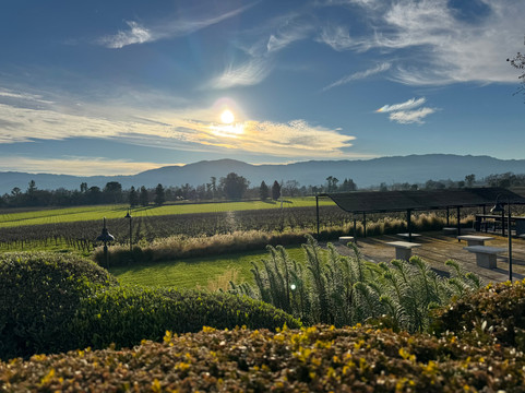 Wine Tasting Drivers-纳帕必去景点