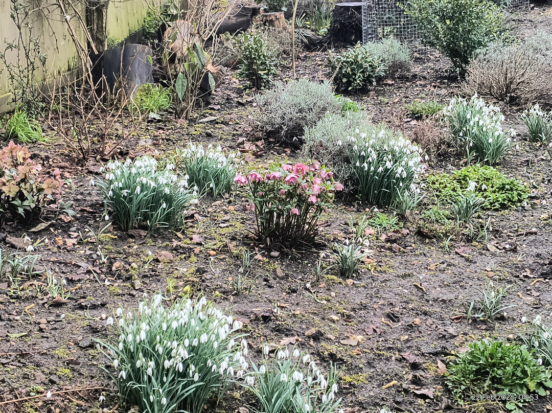 Braintree & Bocking Public Gardens-布伦特里必去景点