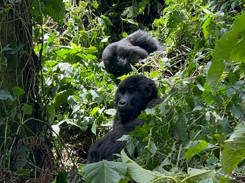 Rwizi Africa Expeditions-坎帕拉必去景点