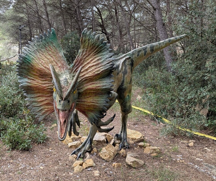 Musee - Parc des Dinosaures-Meze必去景点
