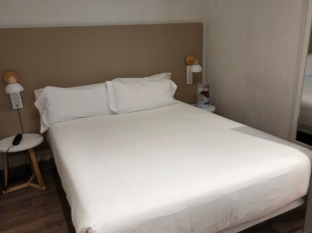 珀蒂宫卡纳莱哈斯塞维​​​​利亚酒店主图