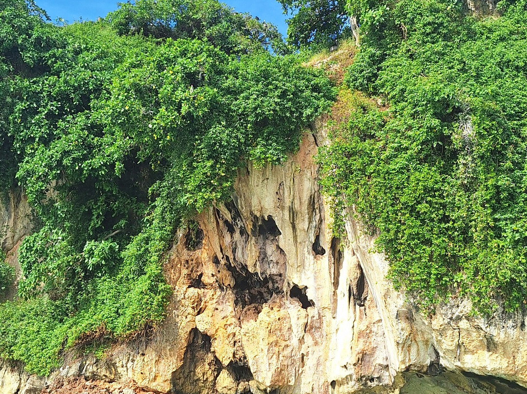 Arena Tours Excursiones-拉斯特拉纳斯必去景点