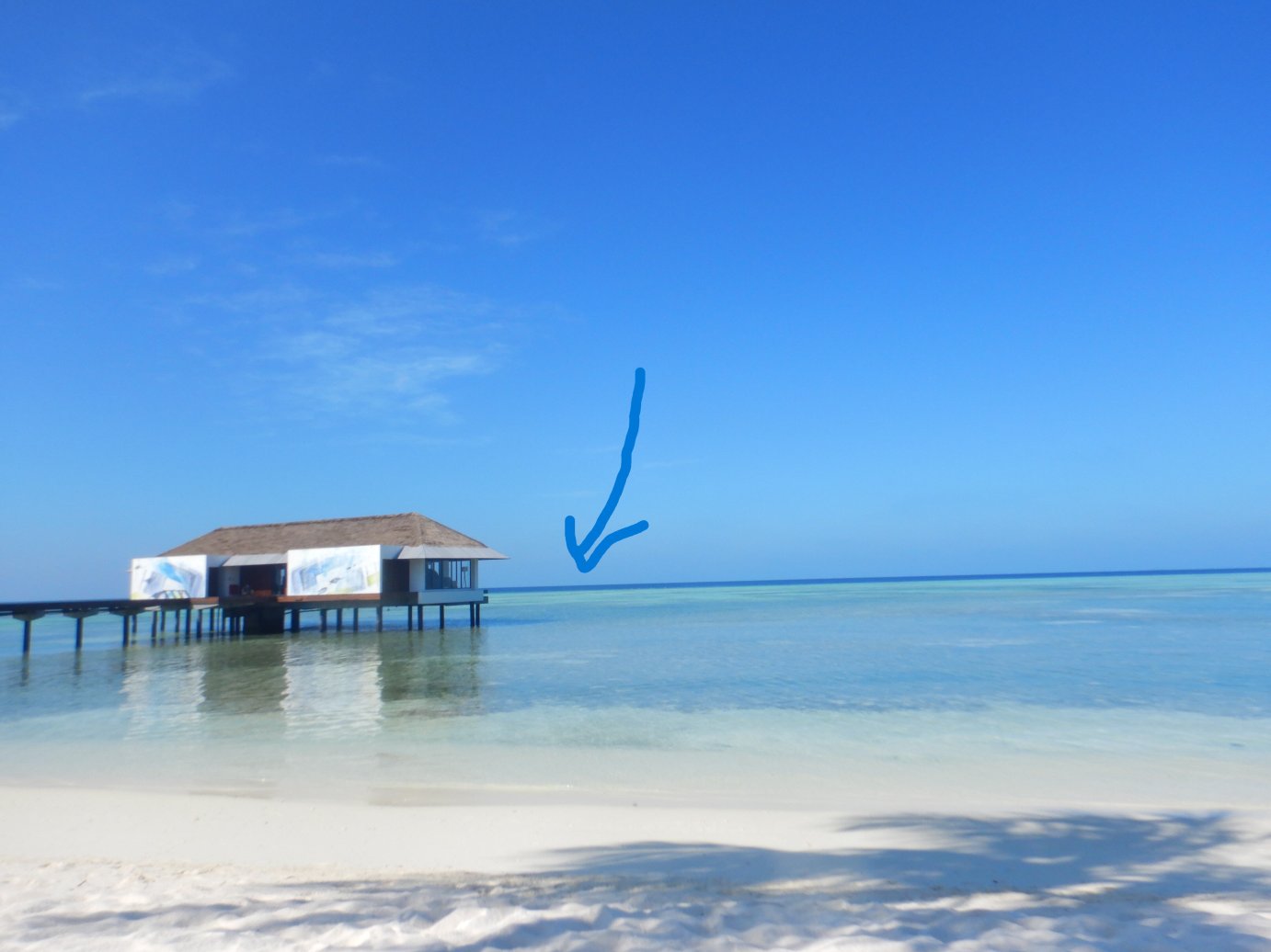 马尔代夫铂尔曼度假酒店-泳池