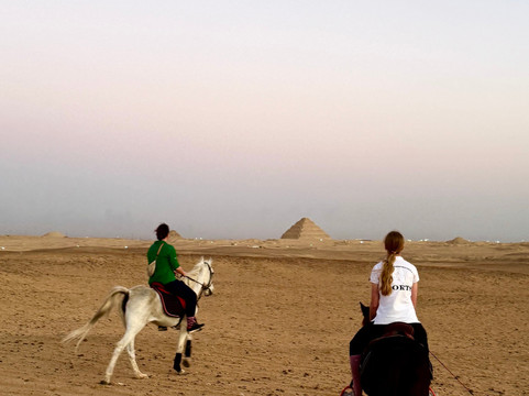 Cairo Horse Riding School-吉萨必去景点
