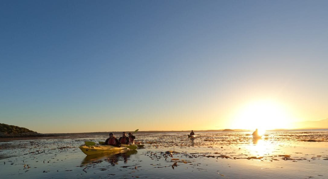 Falklands Outdoors-Stanley必去景点
