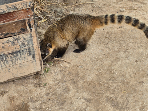 Quinta Fotoplanet Farm-阿尔布赞拉必去景点