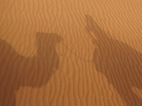 Sahara Relax-扎古拉必去景点