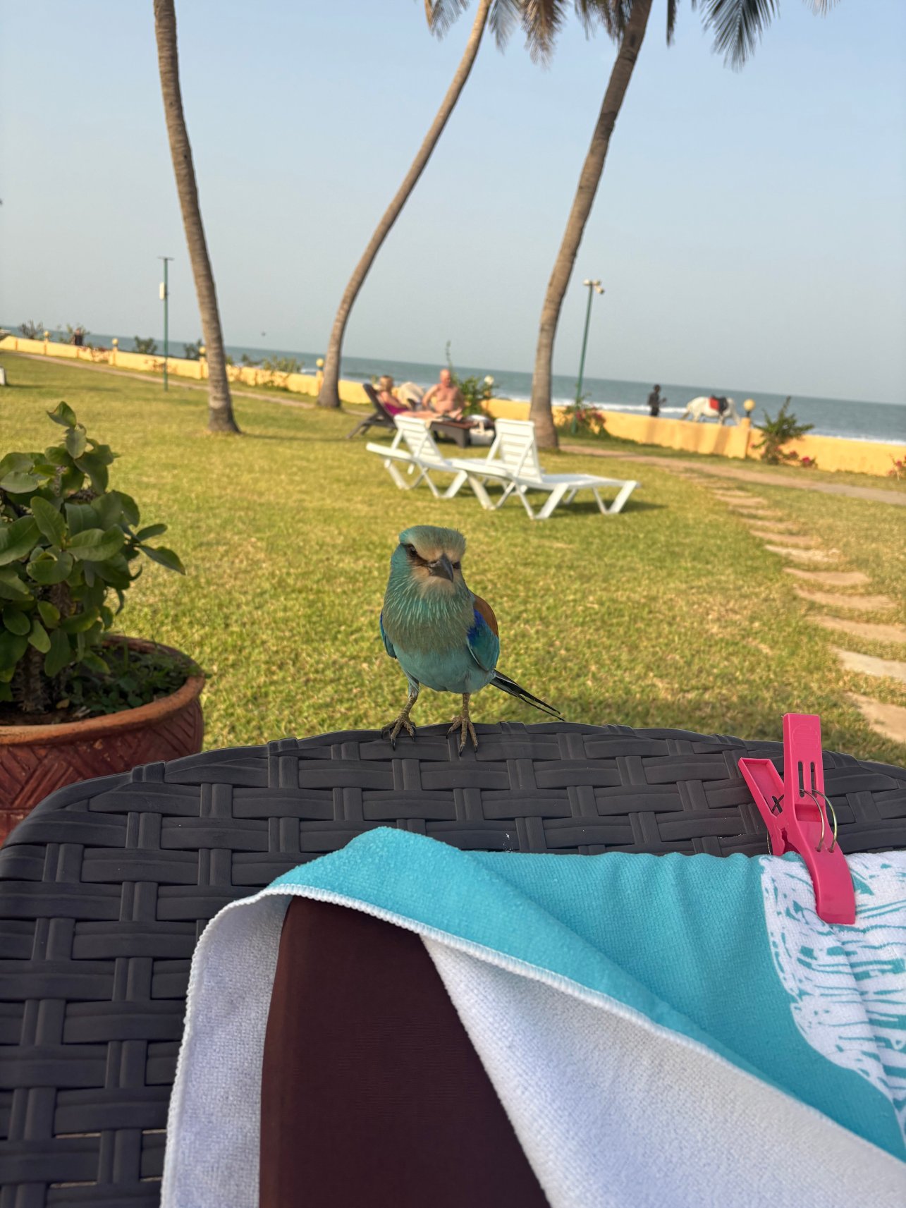 Sunbeach Hotel and Resort-官方