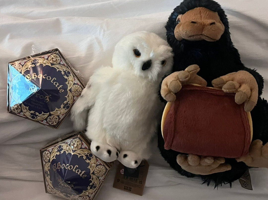 Harry Potter Shop New York-纽约市必去景点