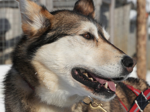 Polar Lights Tours-Sirkka必去景点