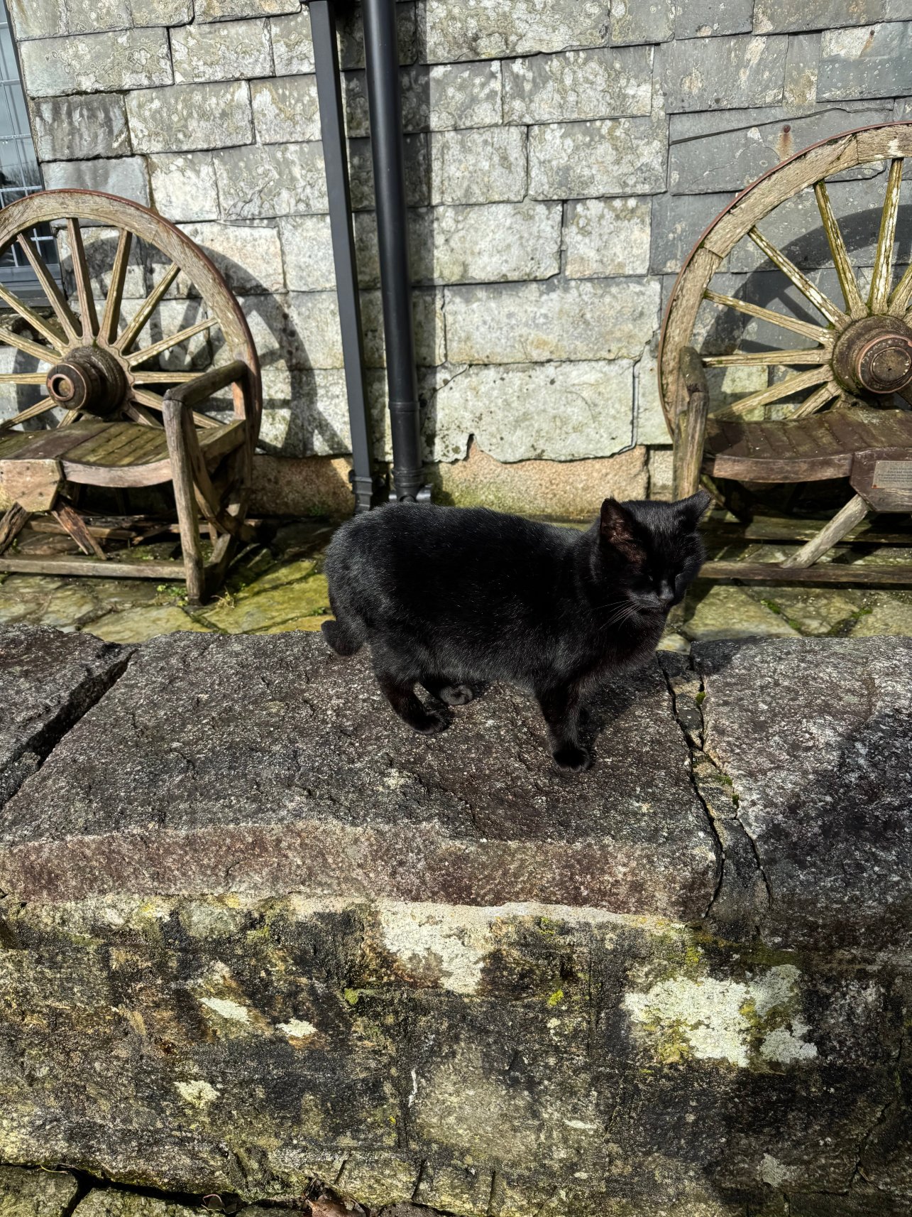 牙买加旅馆-官方